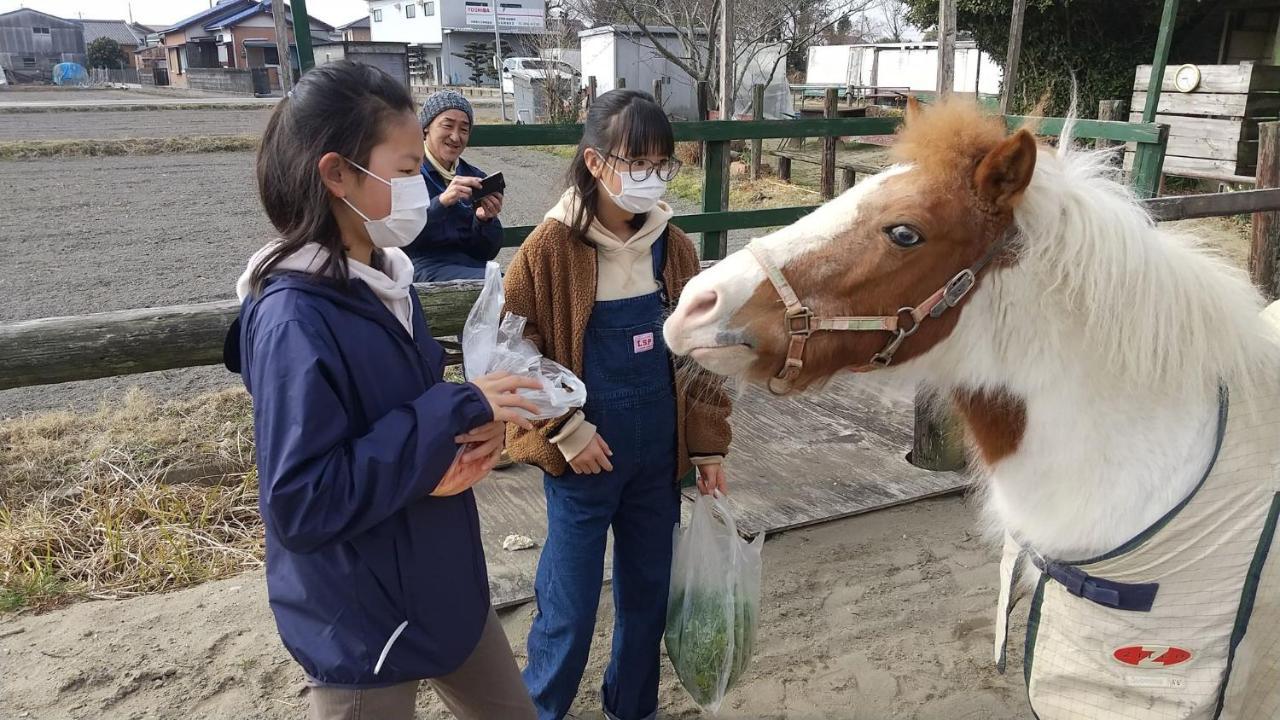 海辺のゲストハウスーぽかぽか村ー Ise Eksteriør billede